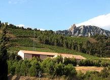 CLOS DU ROMARIN - Maury