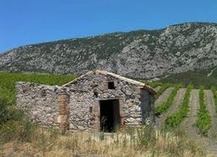 DOMAINE DE LA PETITE BAIGNEUSE - Saint-Paul-de-Fenouillet