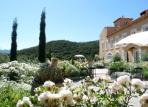 DOMAINE DE COUSSERES - Prugnanes