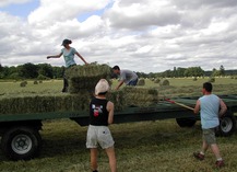 JEUNES AGRICULTEURS CONFLENT FENOUILLEDES - Sournia