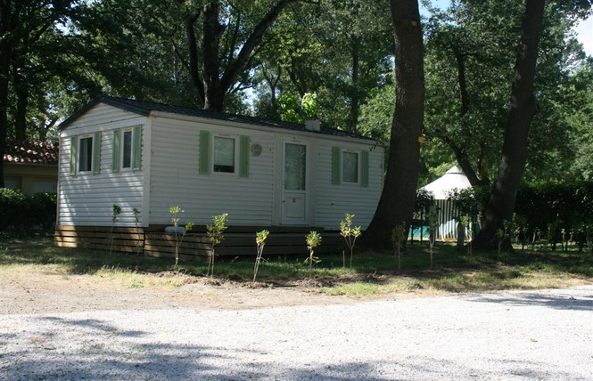 CAMPING LA TOUR DE FRANCE 21 - Latour-de-France