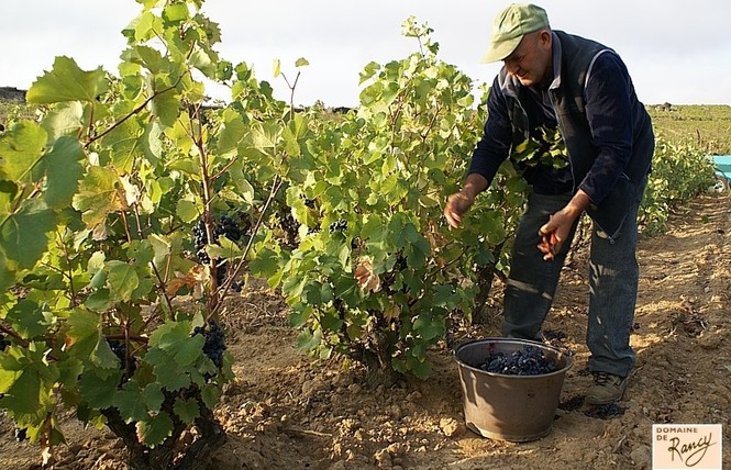 DOMAINE DE RANCY 2 - Latour-de-France