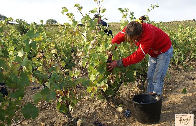 DOMAINE DE RANCY 3 - Latour-de-France