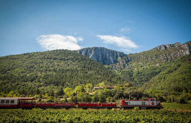 TRAIN DU PAYS CATHARE ET DU FENOUILLEDES 7 - Saint-Paul-de-Fenouillet