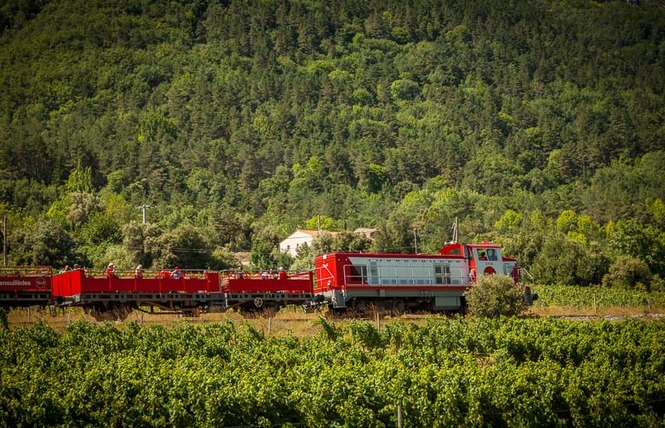 TRAIN DU PAYS CATHARE ET DU FENOUILLEDES 8 - Saint-Paul-de-Fenouillet