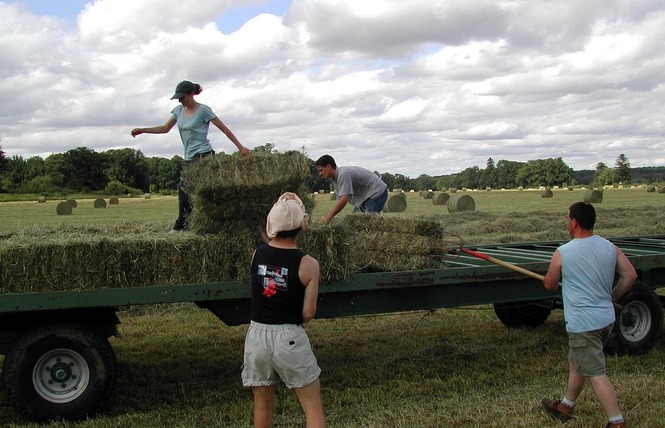 JEUNES AGRICULTEURS CONFLENT FENOUILLEDES 1 - Sournia