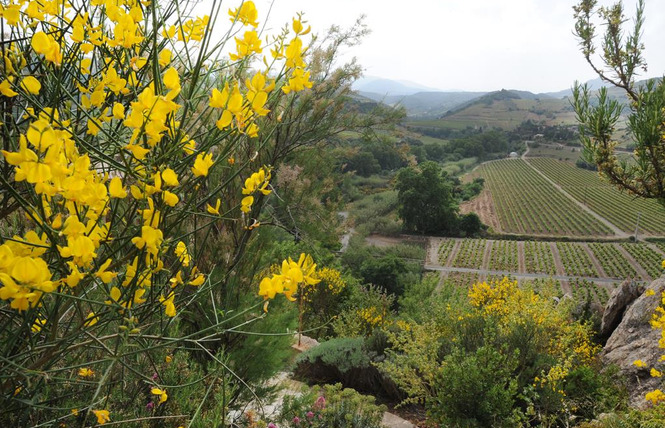 CARIGNAN 10 - Planèzes