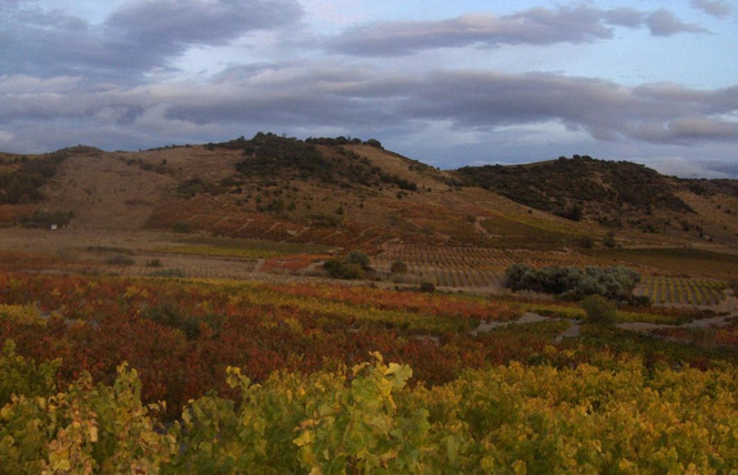 CARIGNAN 6 - Planèzes