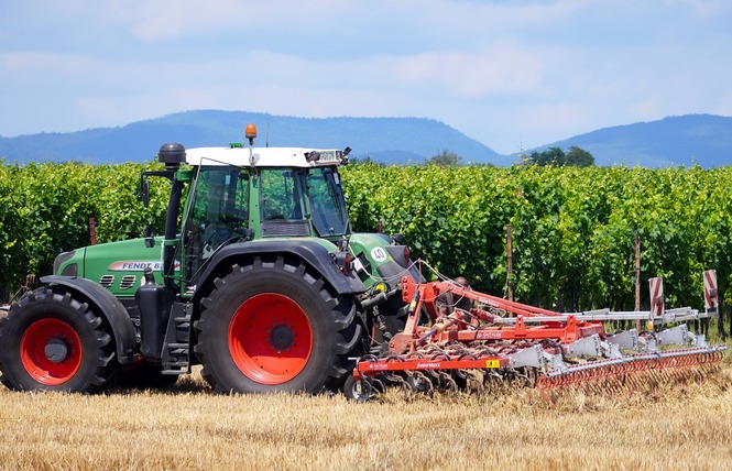 SECTION LOCALE DU GROUPEMENT DE DEVELOPPEMENT AGRICOLE DU MOYEN AGLY 1 - Latour-de-France