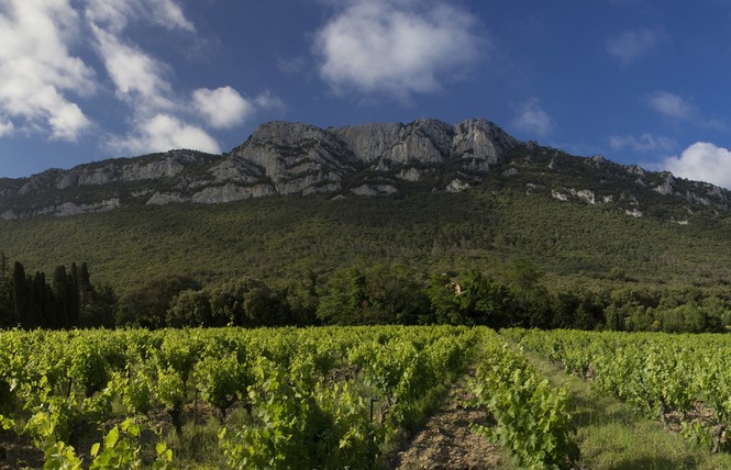 DOMAINE D'ESPERET 1 - Saint-Paul-de-Fenouillet