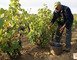 DOMAINE DE RANCY 2 - Latour-de-France