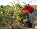 DOMAINE DE RANCY 3 - Latour-de-France