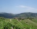 LES VIGNERONS DE TREMOINE CAVE DE RASIGUERES 1 - Rasiguères