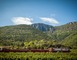 TRAIN DU PAYS CATHARE ET DU FENOUILLEDES 7 - Saint-Paul-de-Fenouillet